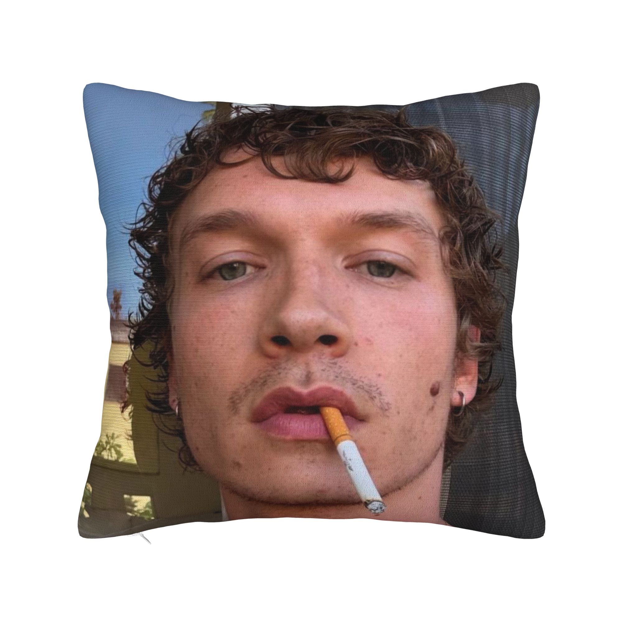 装飾用枕カバー ハドソン・ウィリアムズ・コナー・ストーリー  - Pillow Cover Sublimation のレビューと価格